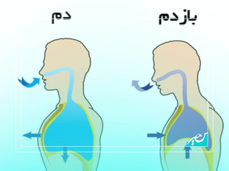 تمرینات پایه نفس ‌گیری برای آموزش آواز